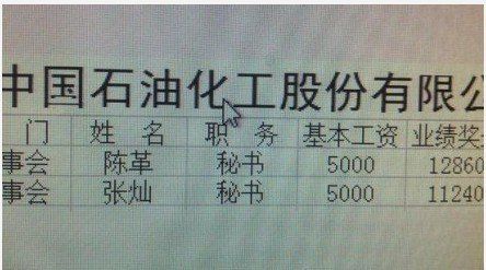 中石化否认普通秘书月薪3万 声明工资条为伪造