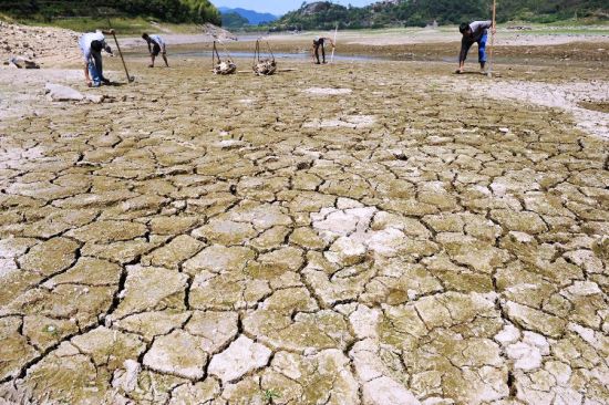 新昌县的几位农民在当地一条因大旱而干涸见