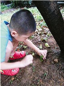 6岁男孩为宠物螳螂办葬礼问妈妈死是怎么一回事