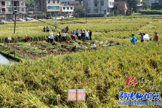 今日热点:袁隆平超级稻亩产988公斤 遗产税被