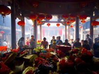 第九届中国(庆元)香菇文化节