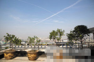 杭州一处小区楼顶菜园改造成空中小花园(图)