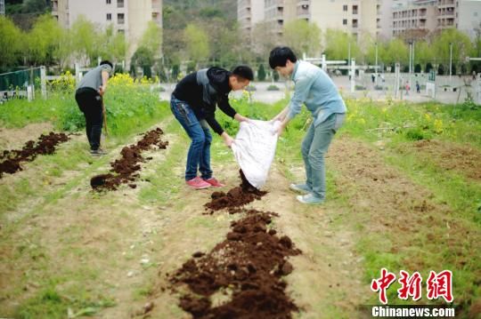 浙江农林大学600余位学生课余种地 争做农民(