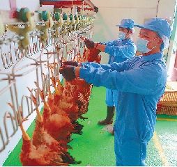 杭州家禽定点屠宰点年底有望增至15家