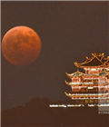 杭州现罕见红月亮