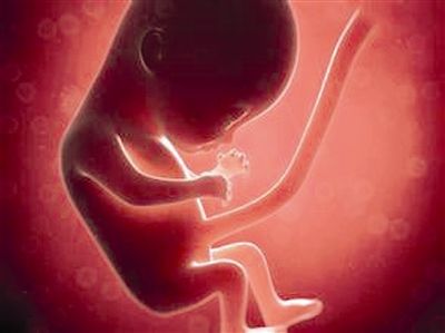 胎儿在肚皮里给妈妈输血 这种病千名孕妇里就