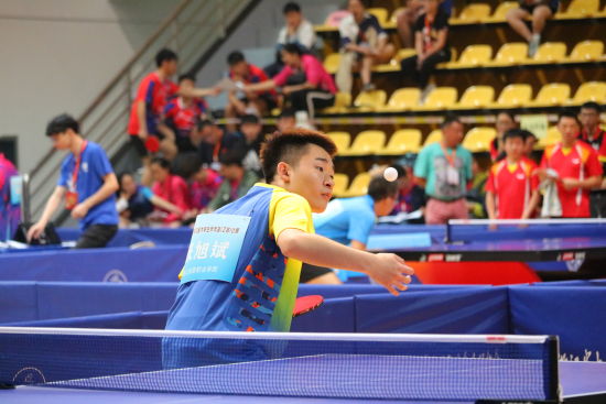 2017年浙江省大学生乒乓球(乙组)比赛在浙旅院